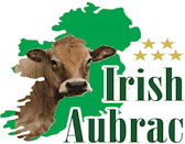 AUBRAC IRISH CATTLE BREED SOCIETY